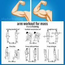 Best Exercises To Gain Arm Muscle Online, 58% Off | Www.accede-Web.com