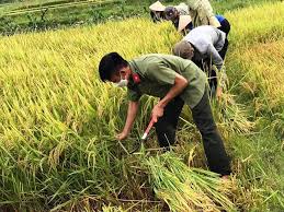 Jun 01, 2021 · sinh viên thực tập lương 1,5 triệu nhưng ôm ba việc. Gia LÆ°Æ¡ng Thá»±c Tháº¿ Giá»›i TÄƒng Viá»‡t Nam Cáº§n Tranh Thá»§ Ä'áº©y Máº¡nh Xuáº¥t Kháº©u Tin Tá»©c Má»›i Nháº¥t 24h Ä'á»c Bao Lao Ä'á»™ng Online Laodong Vn