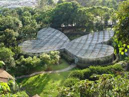 Créé en 1977, le jardin botanique yves rocher s'étend sur 2,5 hectares sur le site de la croix des archers. Jardin Botanique Et Serre Aux Papillons Tours Au Triangle Du Cafe Colombia4u