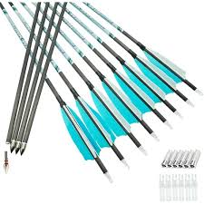 Amazon.com: SUPVOX Flecha de lechón al aire libre entrenamiento flecha  deporte entrenamiento flecha deporte práctica flecha juguete práctica  flecha juguete flecha ventosa flechas juego portátil flecha succión :  Deportes y Actividades al