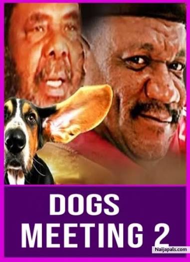 Dogs Meeting