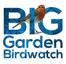 A network of 13,000+ garden birdwatchers and citizen scientists, spread across britain and ireland, and organised by @_bto. The Big Schools Birdwatch 5 Birds To Look Out For Toddle About