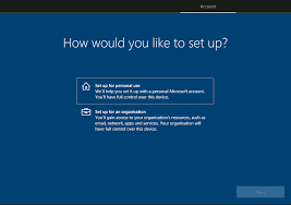 Account Options When Setting Up Windows 10 And Microsoft S Enforced Insecurity Questions Tim Anderson S It Writing