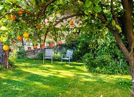 devis d amenagement de jardin points cles tarifs et bons plans
