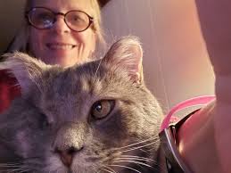 From stray to spoiled “ 🫶🏻