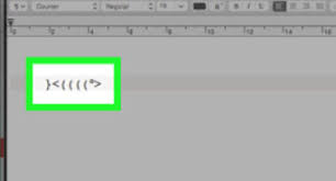 These are used by typing a colon, followed by a dash and a parenthesis. How To Text A Flower Using Symbols 6 Steps With Pictures