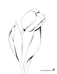 Coloriage Tulipe Les Beaux Dessins De Nature A Imprimer Et Colorier Coloriage Exercices De Dessin Dessin