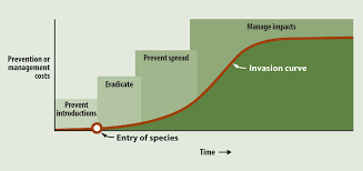 report 1 aquatic invasive species