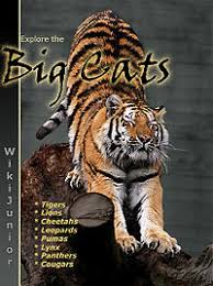 The big cats are some of the most charismatic animals on earth and bay cat. Wikijunior Big Cats Wikibooks Open Books For An Open World