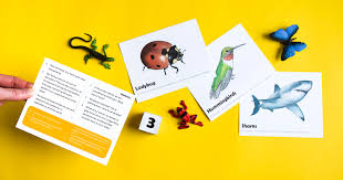For many people, math is probably their least favorite subject in school. Animal Trivia For Kids Adventure In A Box