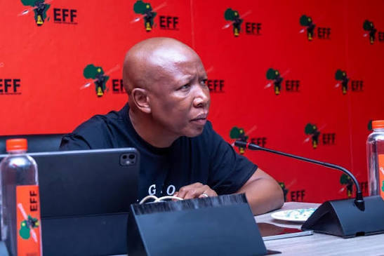 Julius Malema seeks R1 million apology from Ngizwe Mchunu for drug allegations