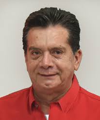 Gobiernos priistas, Comité Estatal, Municipios, Diputados, Senadores