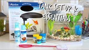Get latest info on betta fish, siamese fighting fish, suppliers, manufacturers, wholesalers, traders, wholesale. How To Set Up A Betta Fish Tank Essentials Youtube