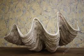 A large bowl in brass shaped in the form of a clam shell standing on small feet. Antiques Atlas Huge Decorative Old Giant Clam Shell
