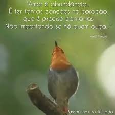 Bird Doesn T Care About Being Eaten Pin By Jussara Mello Antunes On Passaros Instagram Widget Instagram Bird