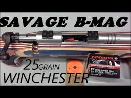 Savage B Mag With Winchester 25 Grain 17 Wsm Ammo