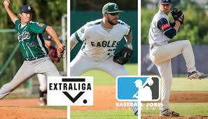 Hokej.cz | oficiální web českého hokeje. Czech Extraliga Baseball Baseball Jobs Overseas