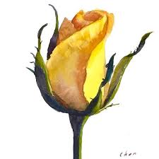 Watercolor Yellowrose Happyvalentinesday Rose Rosebud This Video Is On Youtube Soon Rose Painting Watercolor Rose Watercolor Flowers Paintings