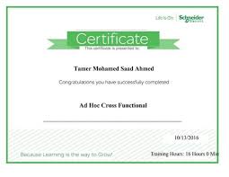 Tamer Saad presentations