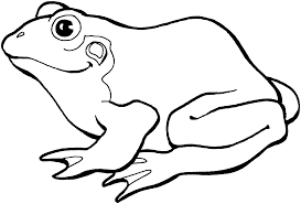 Frog coloring pages for preschoolers. Crazy Frog Coloring Pages Frog Coloring Pages Printable Frog Coloring Pages Animal Coloring Pages Coloring Pictures