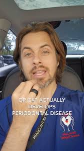 🦷 Dental Tartar in cats & dogs