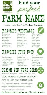 Small Soil Gardens In 2020 Farm Name Homestead Farm Farm Layout