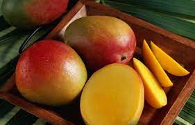 We did not find results for: Mango Mango Varieties Recipes And More Nelspruit
