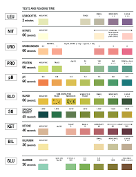 urinalysis test strip color chart learn parallax com