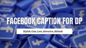 Check spelling or type a new query. 200 Best Caption For Facebook Profile Picture Dp Short Cute Stylish Attitude Quotes