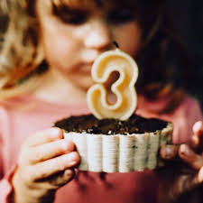 BLAKE + MASON 蜂蠟蠟燭 數字3