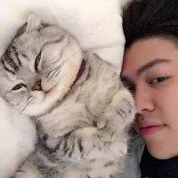 50+ "Evin Evin" profiles