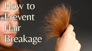 Dry hair is less elastic and more brittle. How To Prevent Hair Breakage Youtube