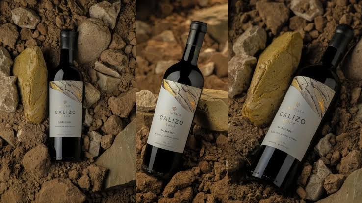 El mejor vino tinto del Nuevo Mundo es argentino y se consagró con dos medallas y tres trofeos