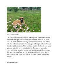 Roxys Craigslist Entry Httphoustoncraigslistorglaf4207320260html Boxer Mastiff Mix Mastiff Mix Losing A Pet