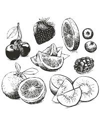 80 Off Sale Hand Drawn Collection Of Fruits Sketch Outline Etsy In 2021 Fruit Sketch Sketches Art Sketches