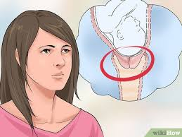 Learn more about common causes of infertility & get advice on next steps. How To Dilate The Cervix 7 Steps With Pictures Wikihow