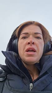 Jodie Wing Chair West Elm Dule