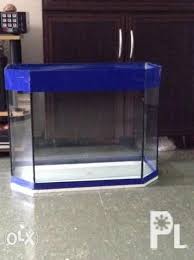 Brand New Aquarium For Sale In Imus Calabarzon Classified Philippineslisted Com