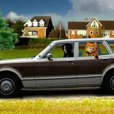 Our success can be contributed to our dedicated exterminators who commit to. Catseye Locations Catseye Pest Control