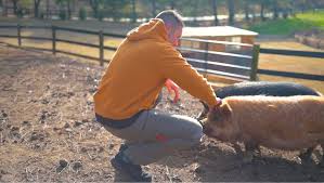 The Hadley Group added a new photo — in...