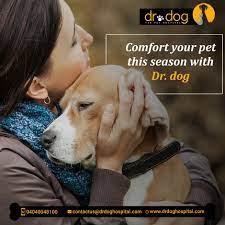 Pet Care Center Animal Hospital Pet Clinic Small Animal Hospital