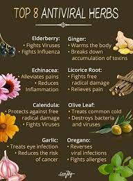 Pin By Stellarwise On Cleansing Jubilation Natural Medicine Cabinet Natural Medicine Healthy Herbs