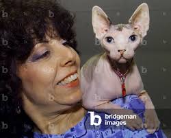 Image of Sandra Alder carries her three year-old, hairless, Sphynx cat "Hale