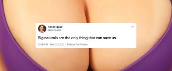 Big Naturals: Porn Boobs That Conquered the World