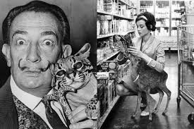 歴史・考古学 カテゴリのニュース