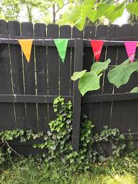 There are stronger fences out there. Ivy On Fences It Looks Pretty But Should I Pull It Off Gardening