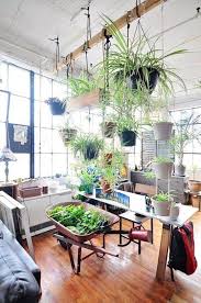 Beautiful Oversized Hanging Plants Indoor Garden Apartment Apartment Garden Room With Plants