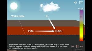 Maybe you would like to learn more about one of these? Coastal Acid Sulfate Soils Youtube