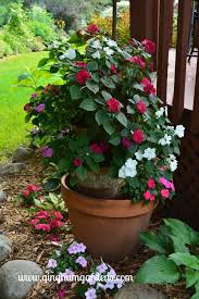 Check spelling or type a new query. Made In The Shade Gardens Beautiful Ideas For Your Shade Garden Gingham Gardens