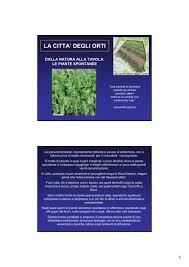 Grazie a tutti per la piacevolissima compagnia e la bella. Erbe Spontanee Commestibili E Loro Riconoscimento Provincia Di